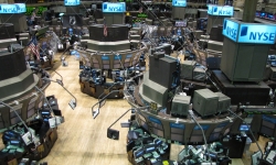 Stock market FX24