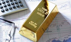 gold-investment FXG